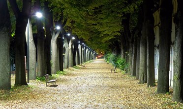 Illuminazione pubblica, altri 27 lampioni a Led concludono il programma triennale 2018-2020 Reginelli: «Lavoriamo per dare continuità agli interventi»